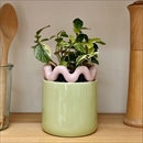 &Klevering(アンドクレベリン) スウェイポット グリーン