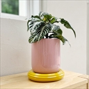 &Klevering(アンドクレベリン) チュロスポット ピンク