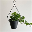 CLOVER(クローバー) ハンギングポット 29cm 2トーン