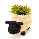 LIKHA(リカー) 鉢カバー プランター シーププランター