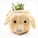 LIKHA(リカー) 鉢カバー プランター ピッグプランター