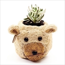 LIKHA(リカー) 鉢カバー プランター ベアープランター