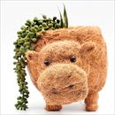 LIKHA(リカー) 鉢カバー プランター ヒッポプランター