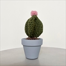 C Yarn Hut(シーヤーンハット) クロシェカクタス ルビーボール L