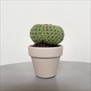 C Yarn Hut(シーヤーンハット) クロシェカクタス ラウンド L