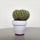 C Yarn Hut(シーヤーンハット) クロシェカクタス ラウンド S