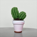 C Yarn Hut(シーヤーンハット) クロシェカクタス ピラー S